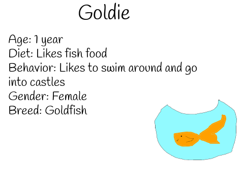 Fish for the Animal Adoption Center!