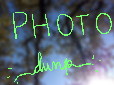 Photo Dump!