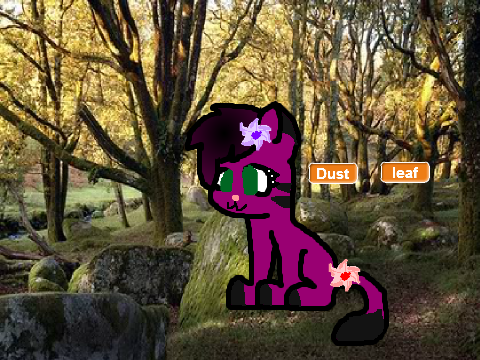 Warrior Cat Designer Contest  ~Open~example