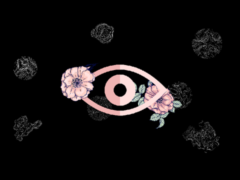 eye spy flowers