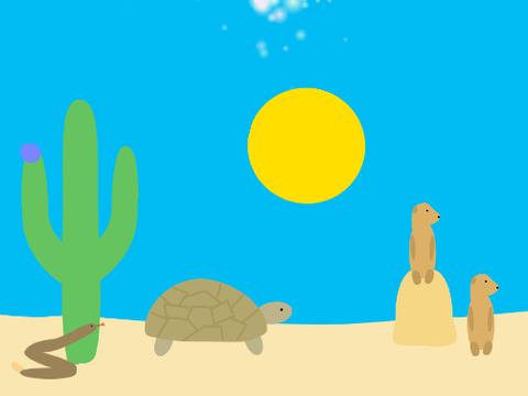 Color the Desert! (with facts) 