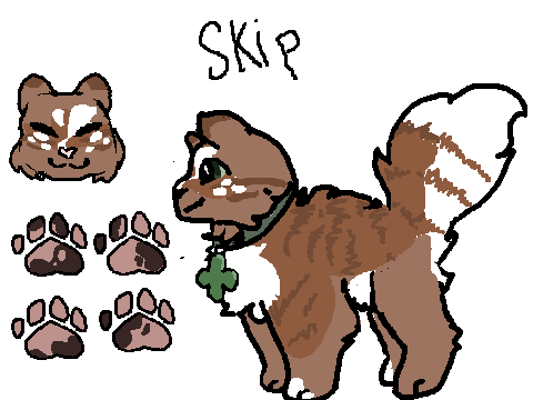 Skip