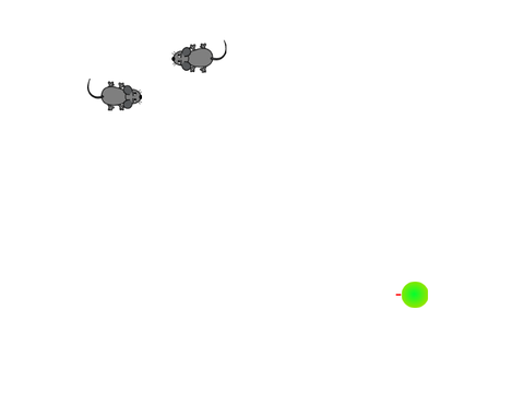 Hungry Snake