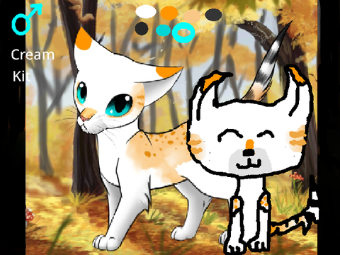 Warrior cats DTAE!