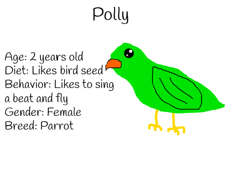 Birds for The Animal Adoption Center!