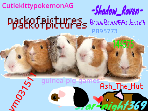 Sign here if guinea pig experimenting is bad remix remix remix remix remix remix remix remix