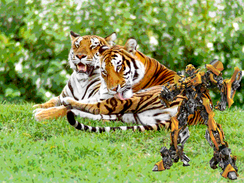 TIGERS