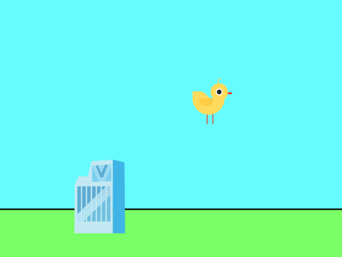 chick fly