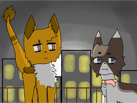 AT with lucky