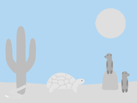 Color the desert