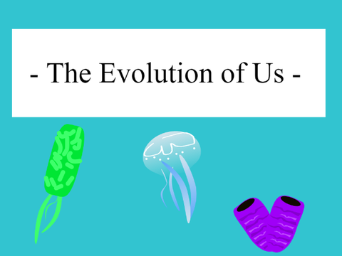 The Evolution of Us **Unfinished