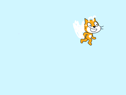 Flying Cat