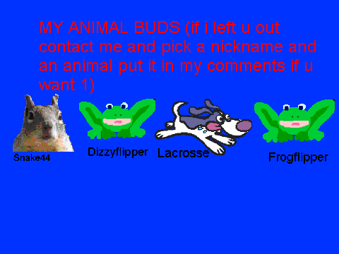 My Animal Buds