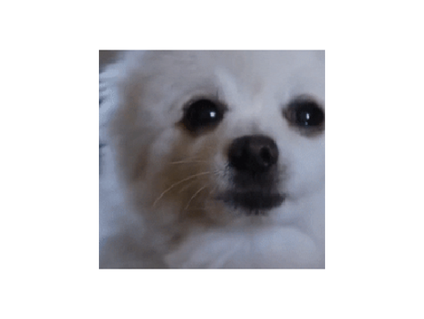 bork