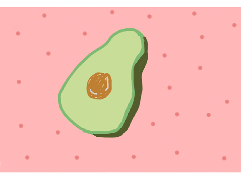 Avocado Drawing 