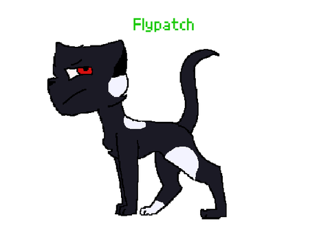 Flypatch