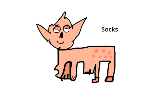 DTAE- Socks and Valentines kitty