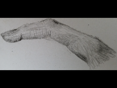 Finger