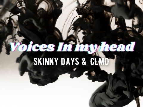 Voices In My Head | Skinny Days & CLMD |