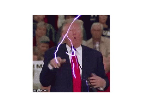 trump lighting