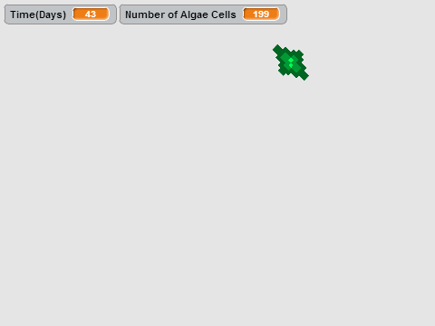Demonstration of the Growth of Algae Cells