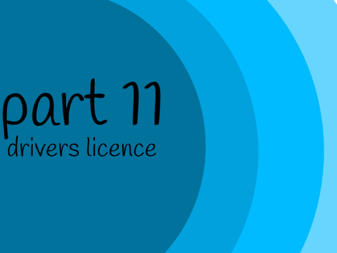 Drivers License Map Part 11