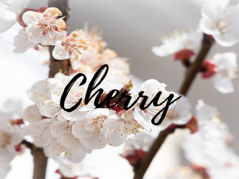 ✂ - - -  cherry