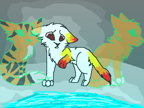 Burnstar's 9 Lives