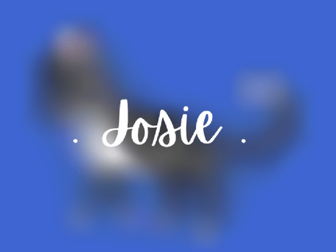 . josie .