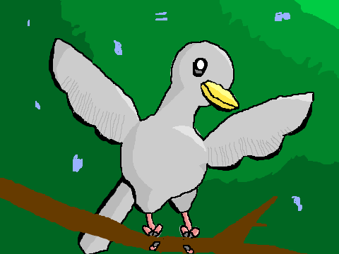 picture competition entry