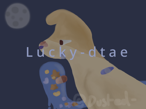 lucky - entry