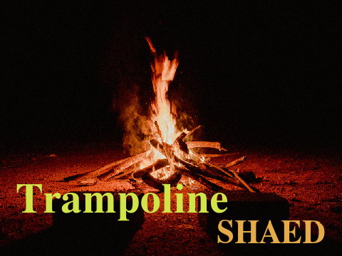 Trampoline - SHAED