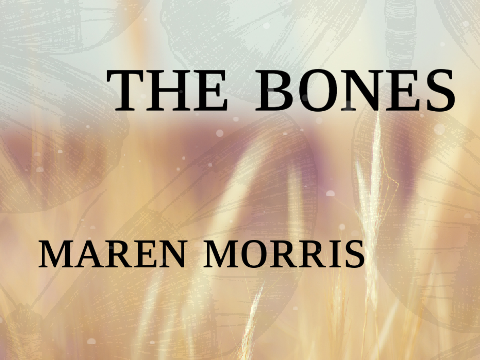 The Bones - Maren Morris