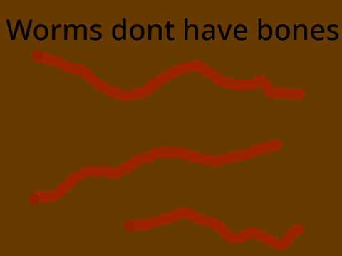 3 Random Animal Facts