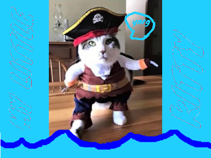 4 nerdy kitty