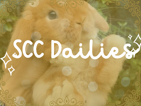 SCC Dailies