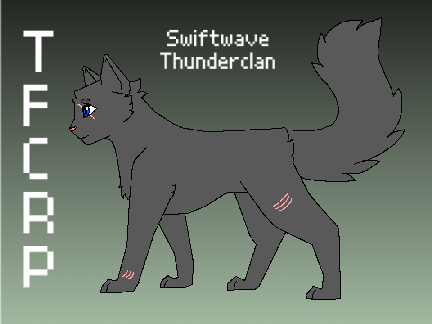 SWIFTWAVE REF