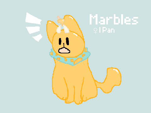 Marbles ref 