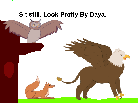   Sit Still ,Look Pretty 