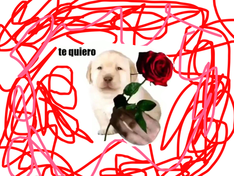 te quiero