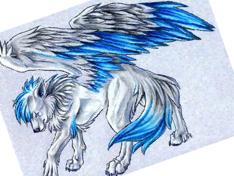  winged wolves 