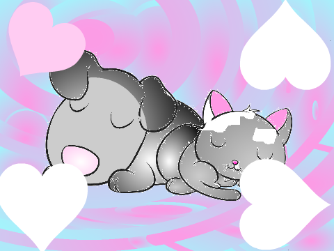 cat & dog cc entry 