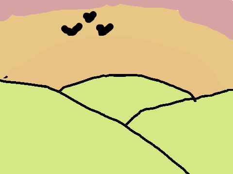 bird animation 