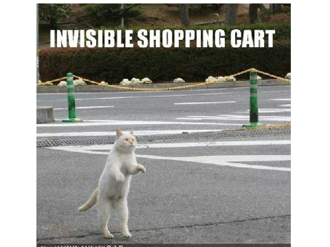 Funny cat memes remix