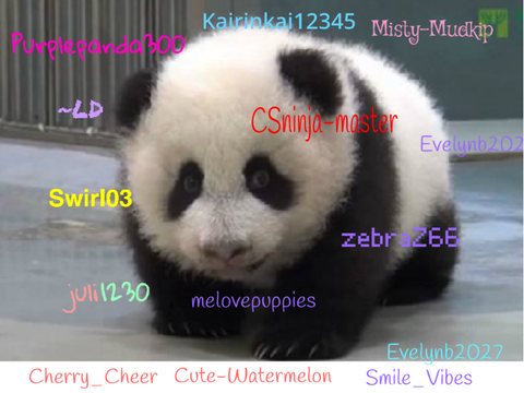 Sign if you are against PANDA POACHING! REMIX REMIX REMIX REMIX REMIX REMIX yeah loads of them