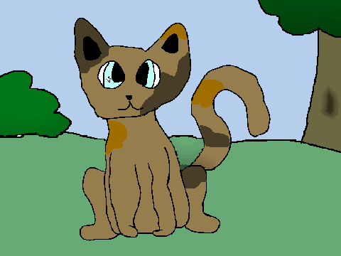 Contest entry