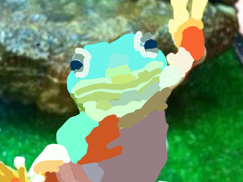 blockshade of rainbow frog 