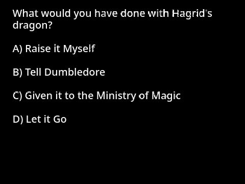 Harry Potter Sorting Quiz remix