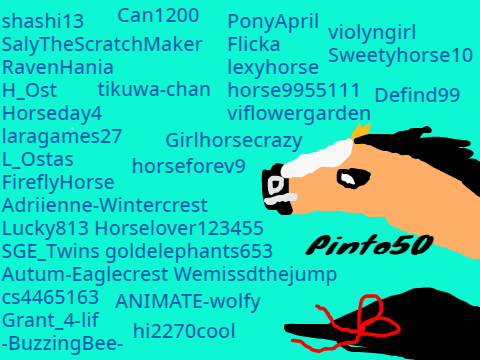 Thanks to the Pinto50 Followers 