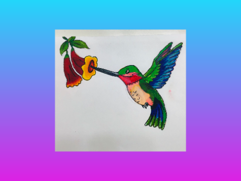 My Attempt To Do A Hummingbird!!!
